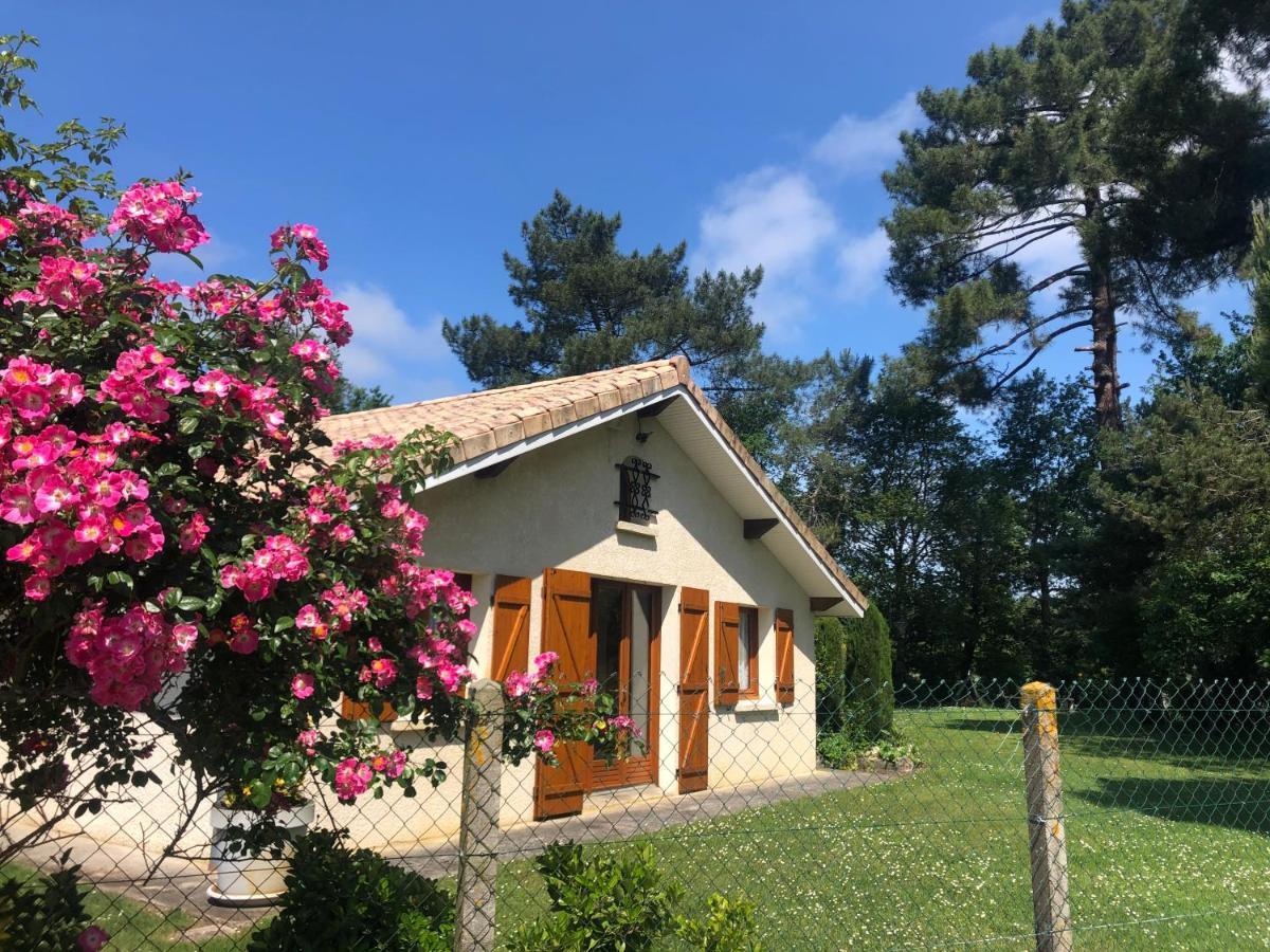 Villa Au Milieu Des Pins Lacanau Extérieur photo